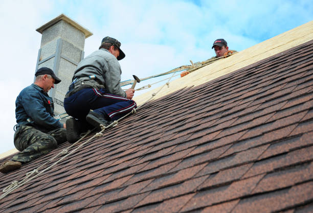 Best Roof Maintenance Services  in Goodman, MO