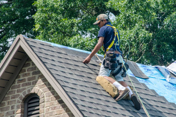 Professional Roofing Contractor in Goodman, MO